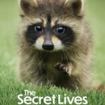مسلسل The Secret Lives of Animals الحلقة 4 مترجمة