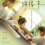 فيلم Xia ri de ning meng cao 2024 مترجم