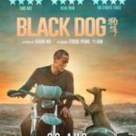 فيلم Black Dog 2024 مترجم اون لاين